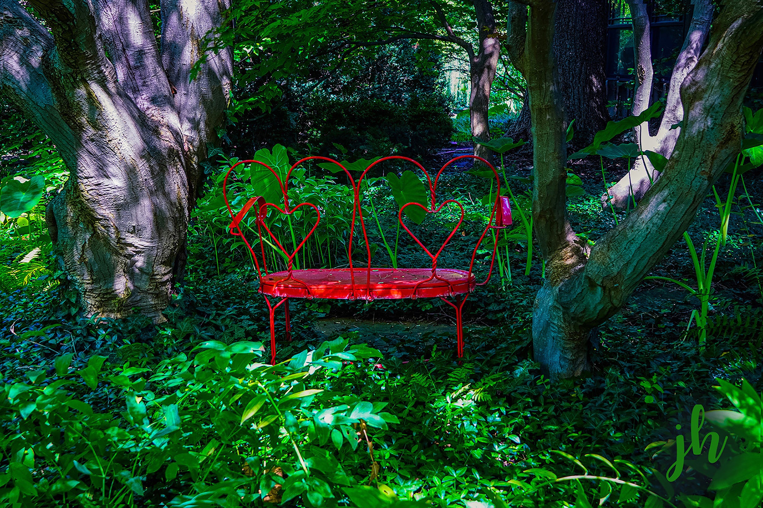 The Waiting Bench Digital