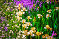 Garden Symphony Digital